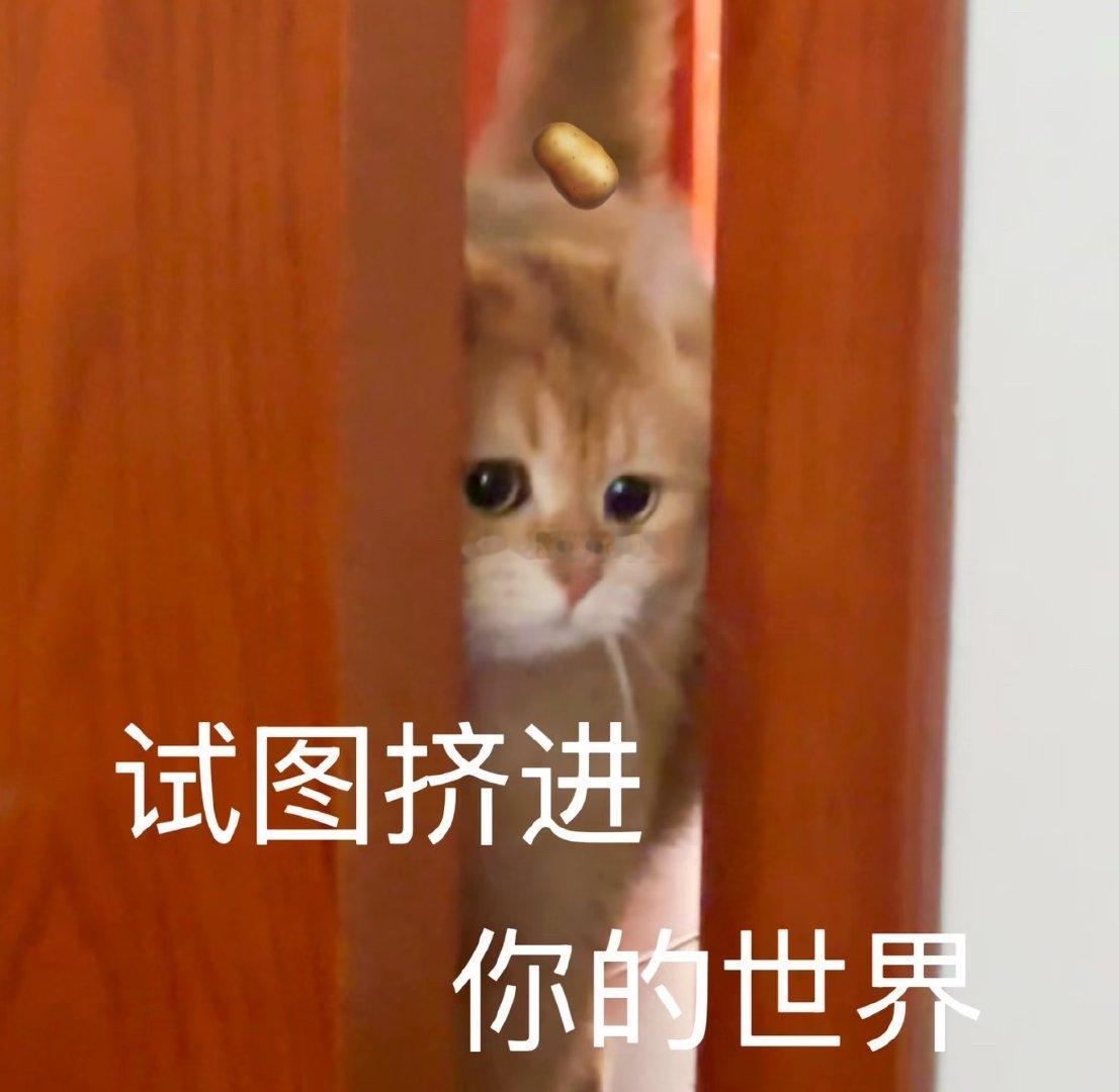 🐺好好玩啊哈哈哈哈，我就说昨晚睡觉前🐺问我有没有把之前的闹钟关掉，然后还鼓捣