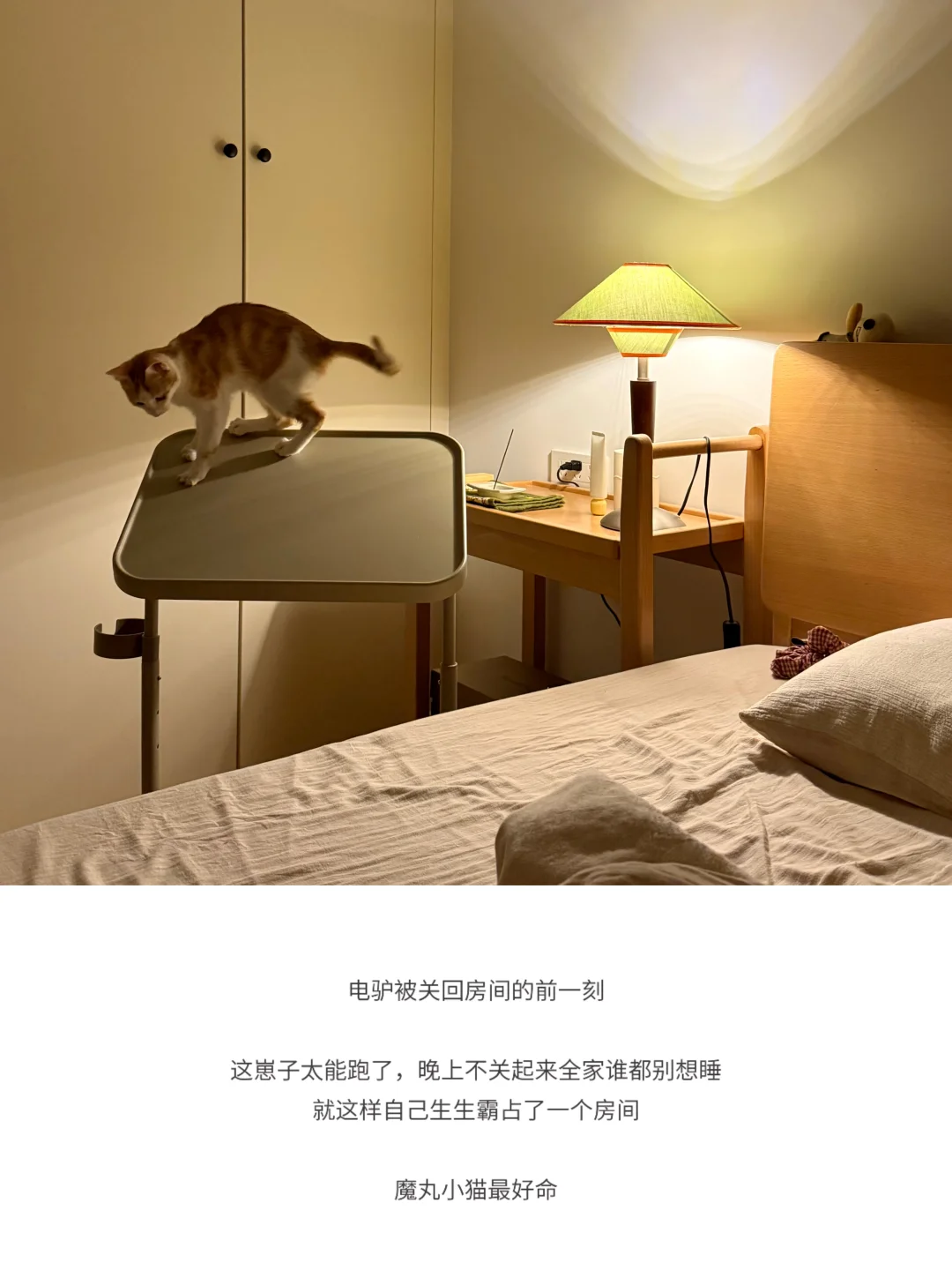 我的职业生涯：懒人。