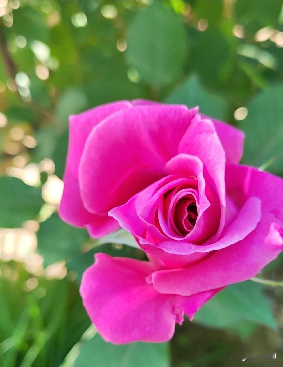 《主角》里忆秦娥，花彩香，米兰，胡三元的人生反转，忆秦娥从放羊娃到名角，再到没戏