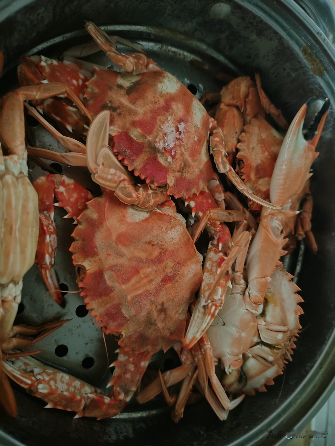 头一次到斗美渔港买海鲜，虽然天气不好鱼货少，但爱了，会常来。

住在漳州港快两个