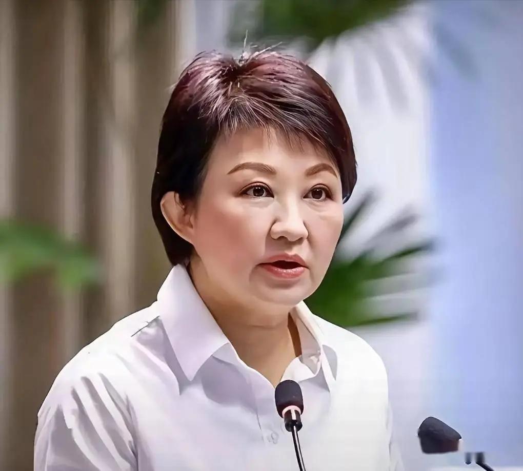 卢秀燕卸任前频繁出访，政治作秀远大于实际效益
台中市长卢秀燕6月6日起欧洲访问，