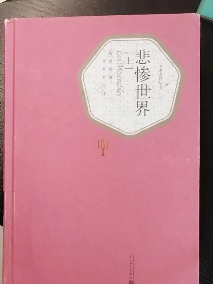 最近半年，
工作比较清闲，
上个月看了法国作家，
雨果的《巴黎圣母院》，
读的挺