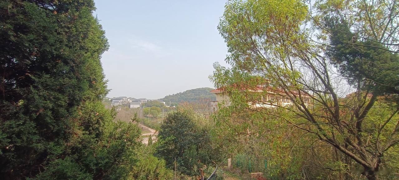 拜谒赵翼墓
清明假期的最后一天，去无锡马山跑山，同时拜谒了家乡文化名人赵翼先生的