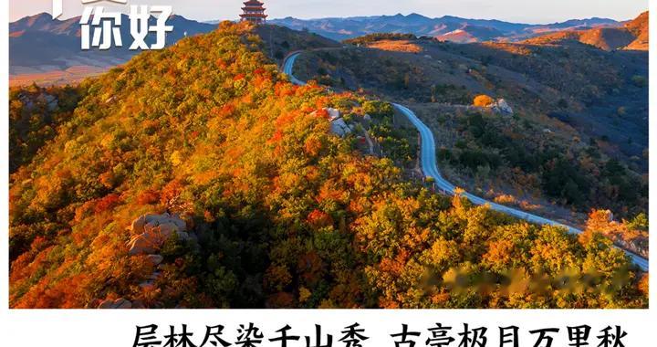 花228元买景区门票，附赠彩票中了770万！接到中奖电话还以为是骗局；炸串摊主被顾客差评后跳河轻生，