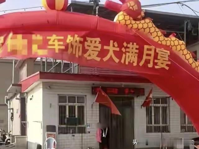 惊掉下巴！
给狗办满月宴还搭拱门、敲锣打鼓，网友吵翻了天，这事你怎么看？河北武安