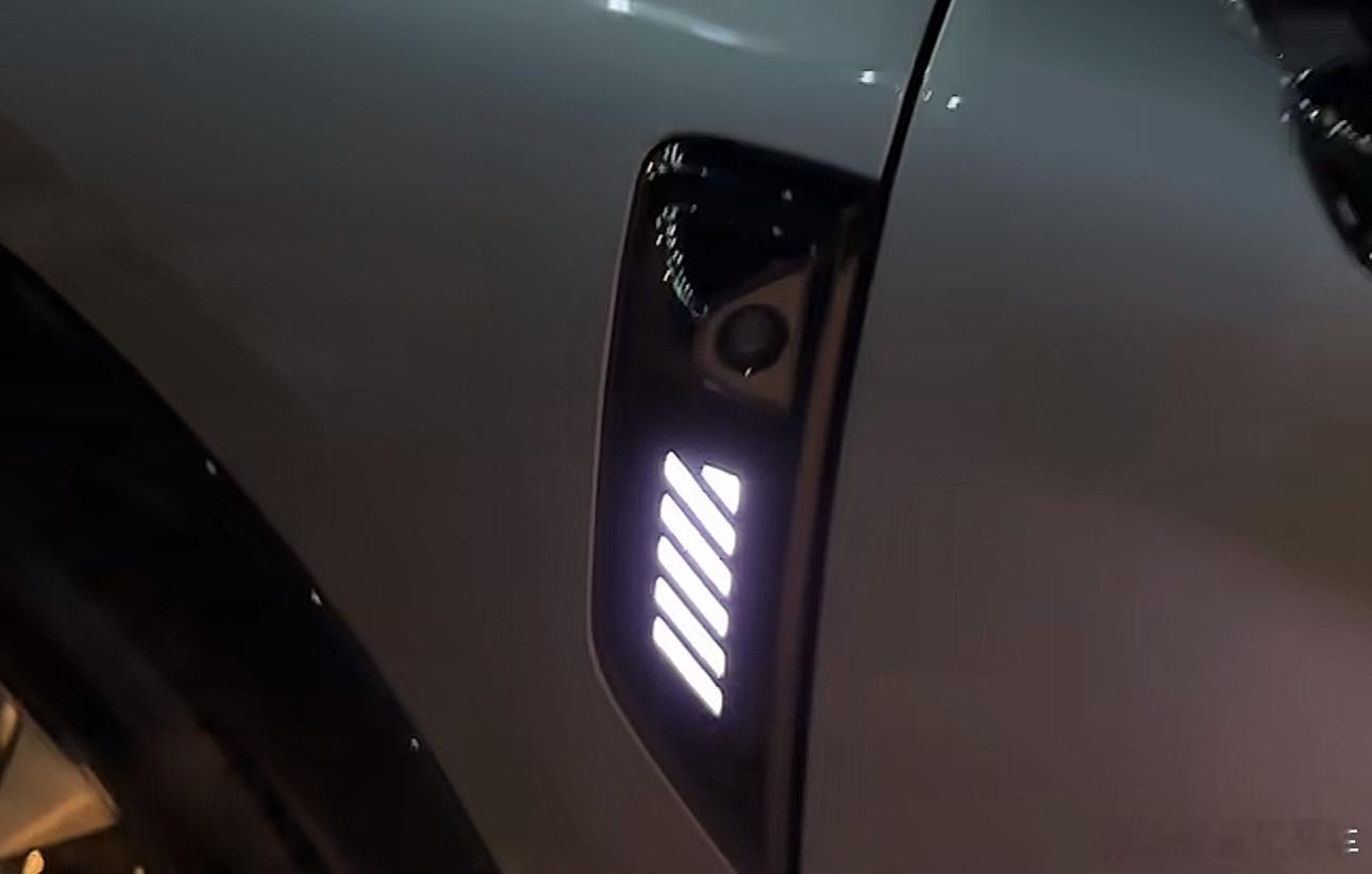 华境S这个车外指示灯，还挺好看。 