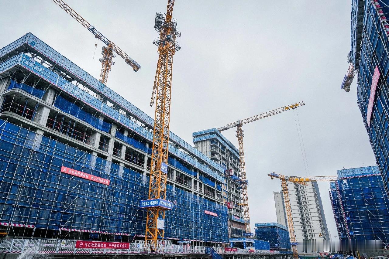 以肥西路、太湖路十字街区为核心枢纽，联动高校科研力量与高新企业集群，推动校区、园