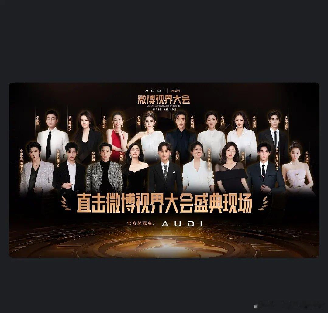 视界大会的海报 ​​​