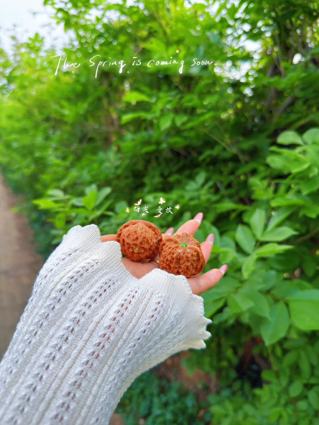 🌱绿色是情绪的解药