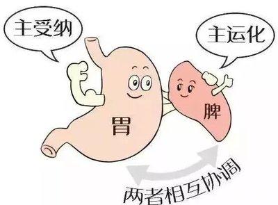 来看看大家有没有这些“脾虚”的症状？
 
1、舌有齿痕
脾胃虚弱的人，舌头会胖大