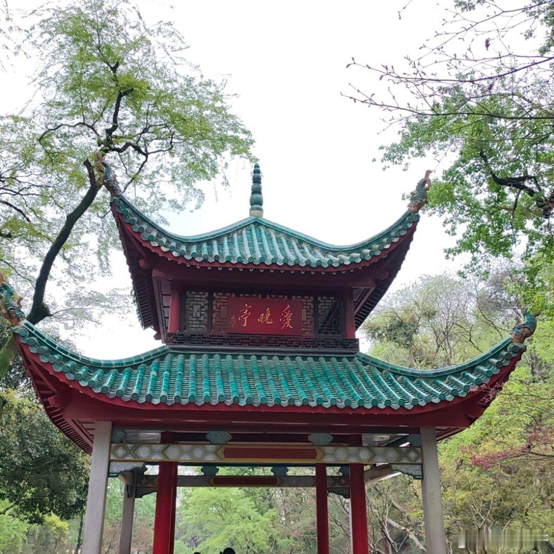 这一年总念叨着要好好出门，到了长沙才发现，真正的旅行从不是赶着打卡，而是踩着慢节