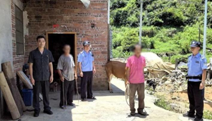 广西贺州，男子将22头黄牛放养在山上，却不料，隔壁村的村民看到山上野草茂盛，也在