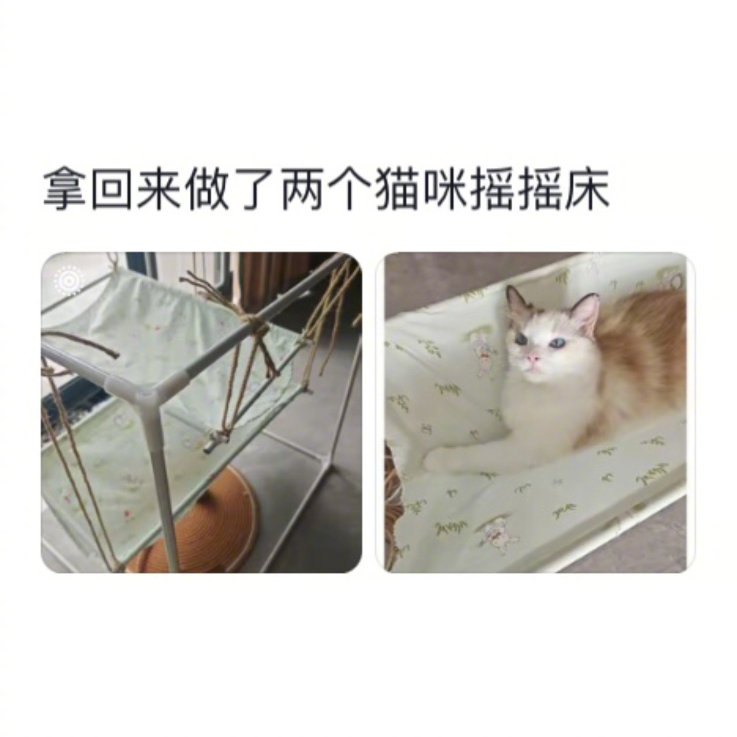 毕业舍不得扔的东西派上用场了