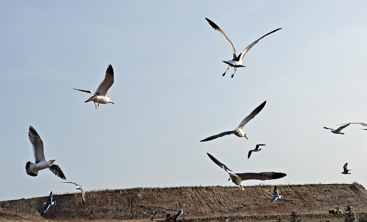 凭空造牌！这是近几年在外交舆论场上的热词。如果认真探究起来，相当于三十六计中的“