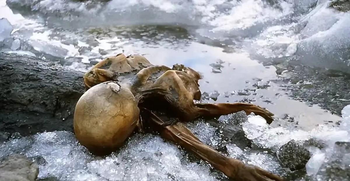 1991年，一对夫妻攀登3000米的阿尔卑斯山时，发现了一个趴在雪中的冰人。
