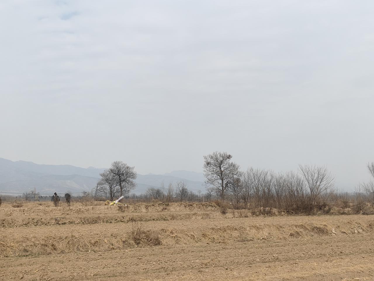 分享一张最近随手拍的照片