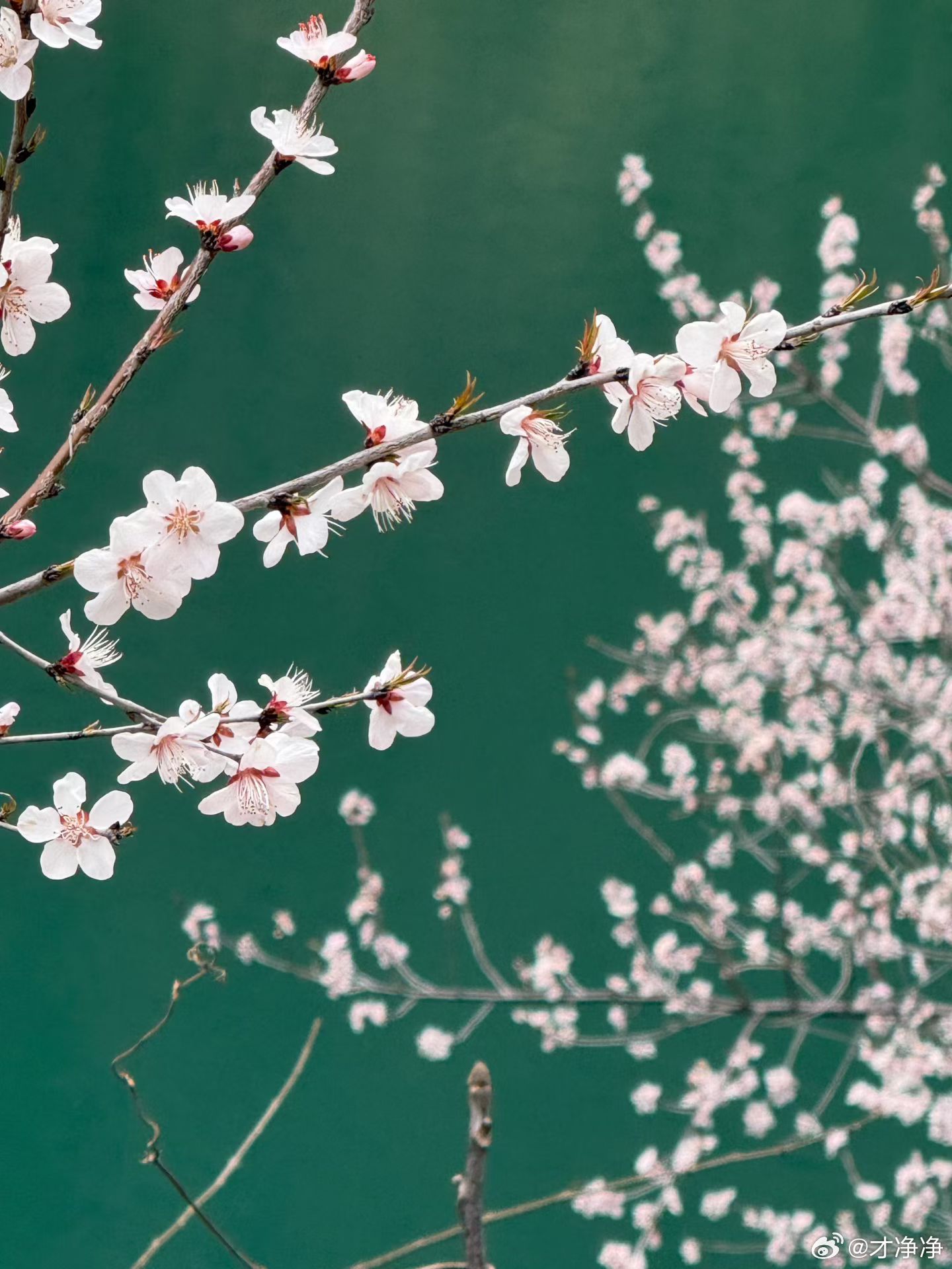 发现生活中的小美好婚纱照 春天到了，夏季的感觉可来了啊。看到一对拍婚纱的，真的是
