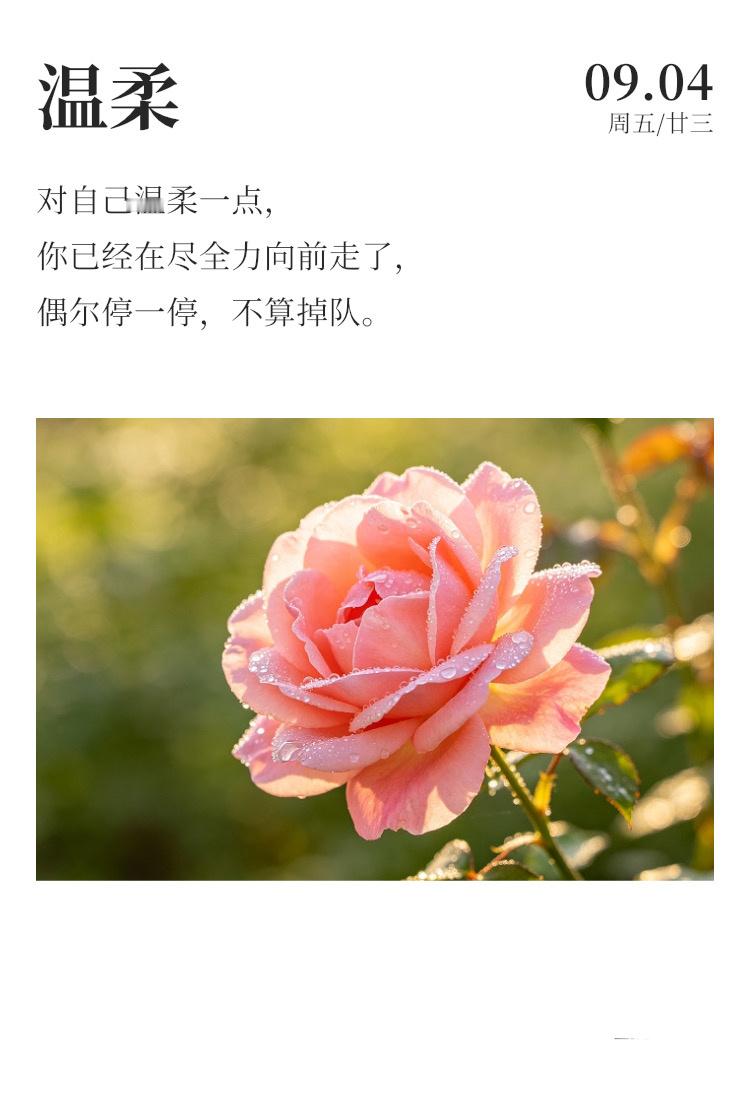 早安[超话]  ☀️每日早起打卡 只要你有动身的勇气，吃苦的骨气，远方不远，未来
