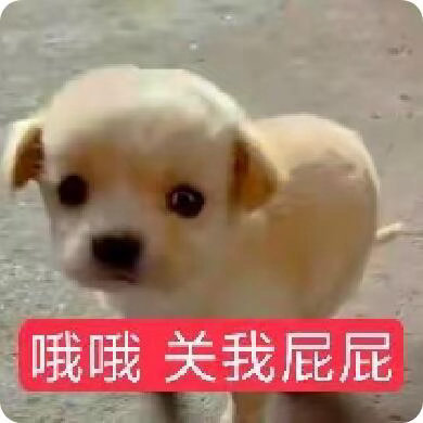 每天一想 都一个月没见过我女了......... 