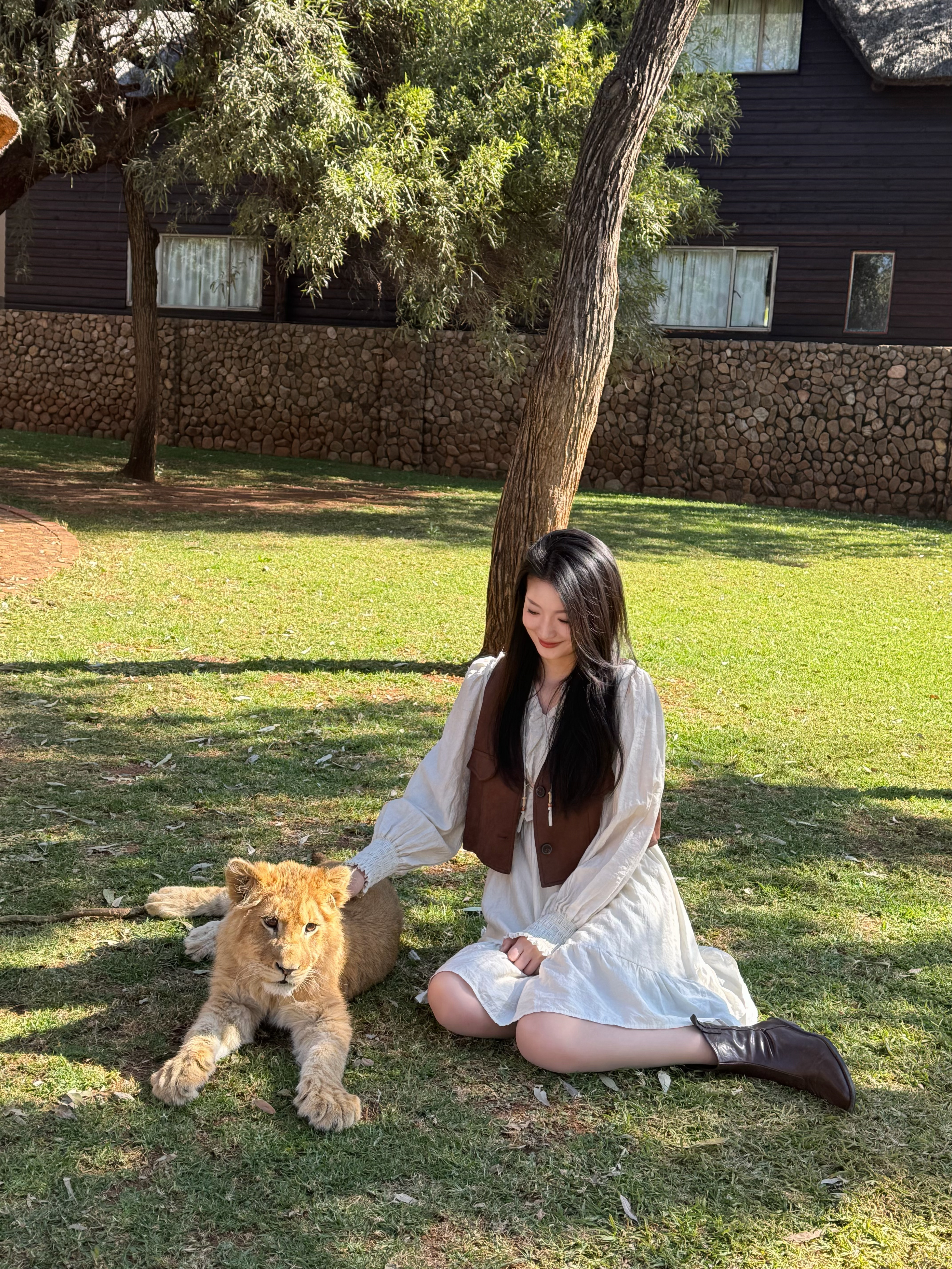 🇿🇦南非  | 在safari遛狮子🦁 南非