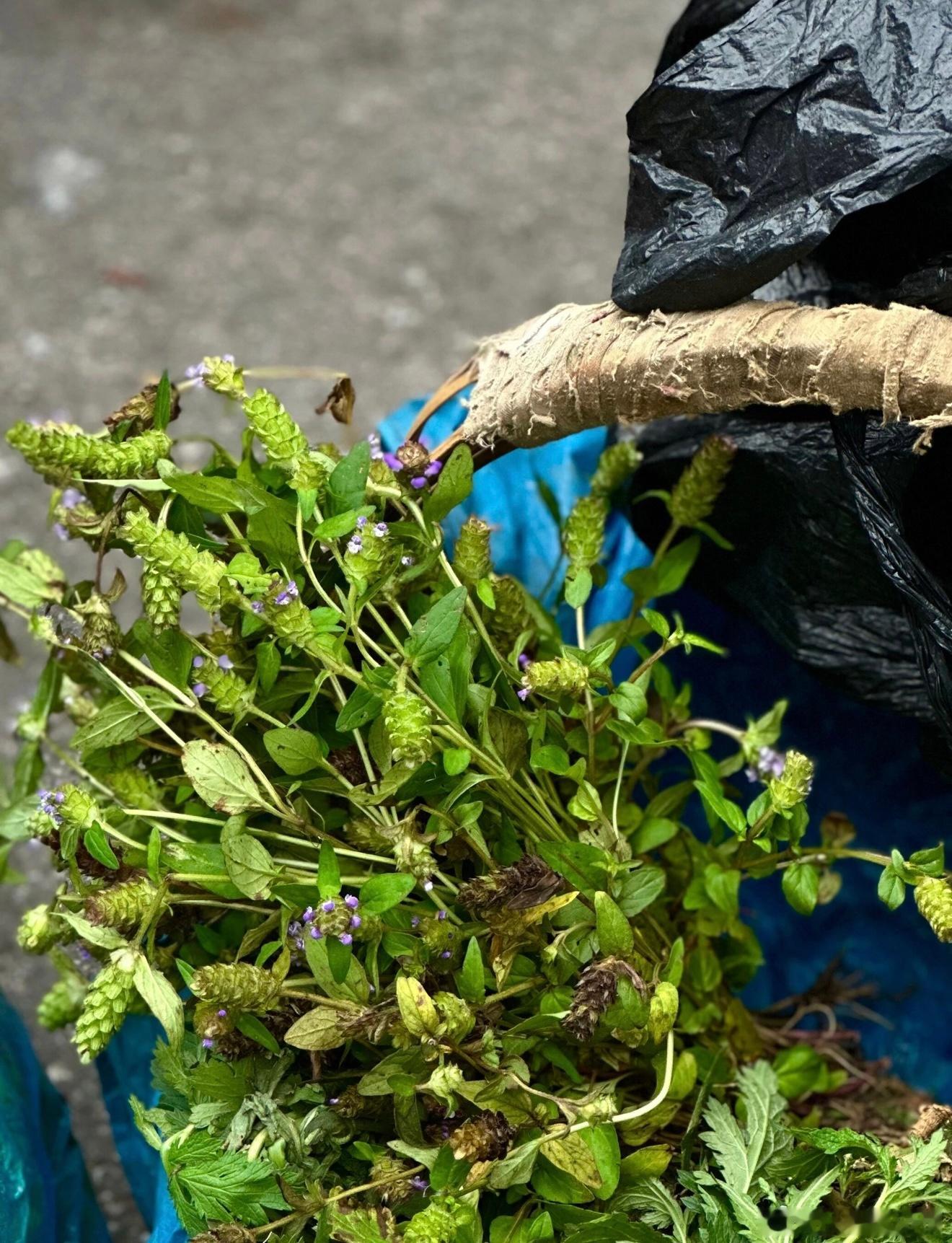 秋，收获的季节：经过了冬的积垫，春的盟发，夏天的成长，持续勤劳，目标明确，条件适