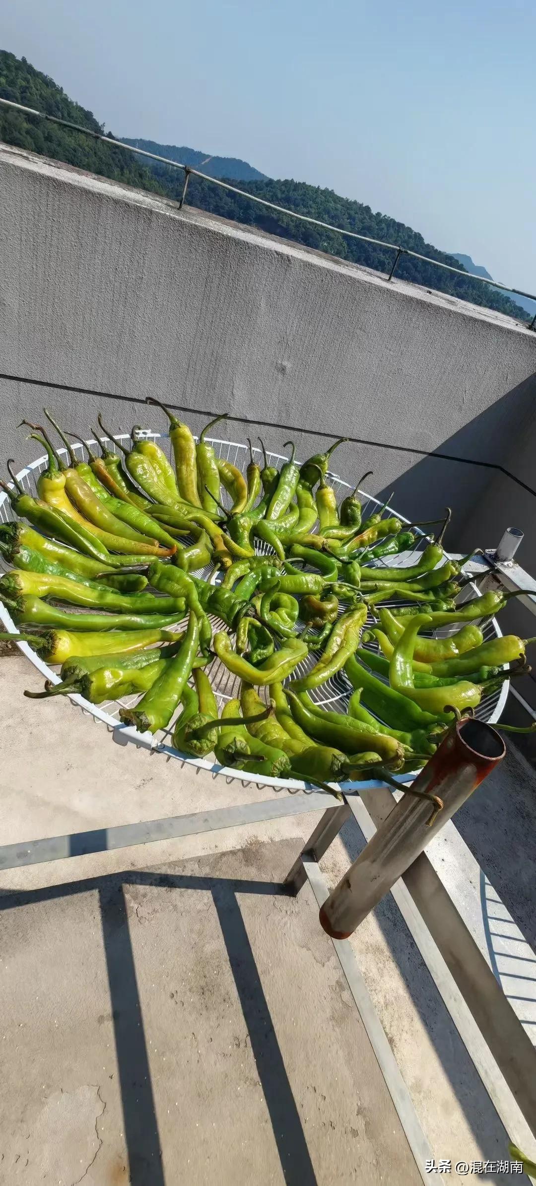 绝对不能浪费长沙的大太阳[[捂脸][捂脸]
