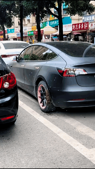 附近的狗有糖尿病