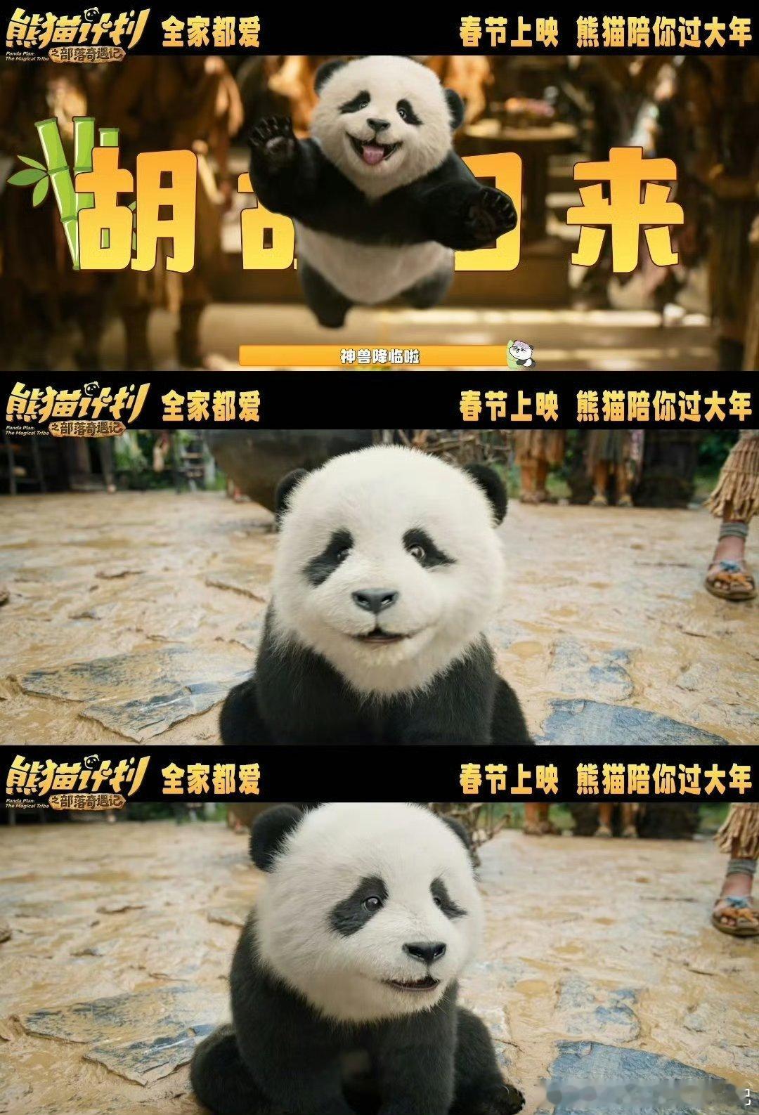 熊猫计划取景中国最后的原始部落坐等春节档这部喜剧！国内首个熊猫系列电影，剧组硬核