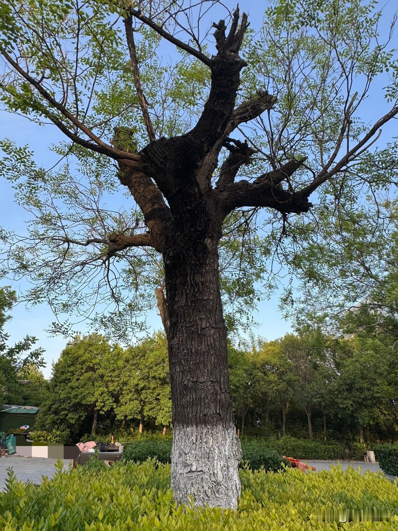 【小对联】
上：死缓；
下：……？