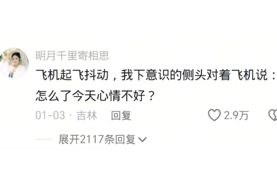 最恐飞的那年本狐每次也会非常虔诚地跟飞机对话，夸它是个好飞机让它保佑我起落平安[