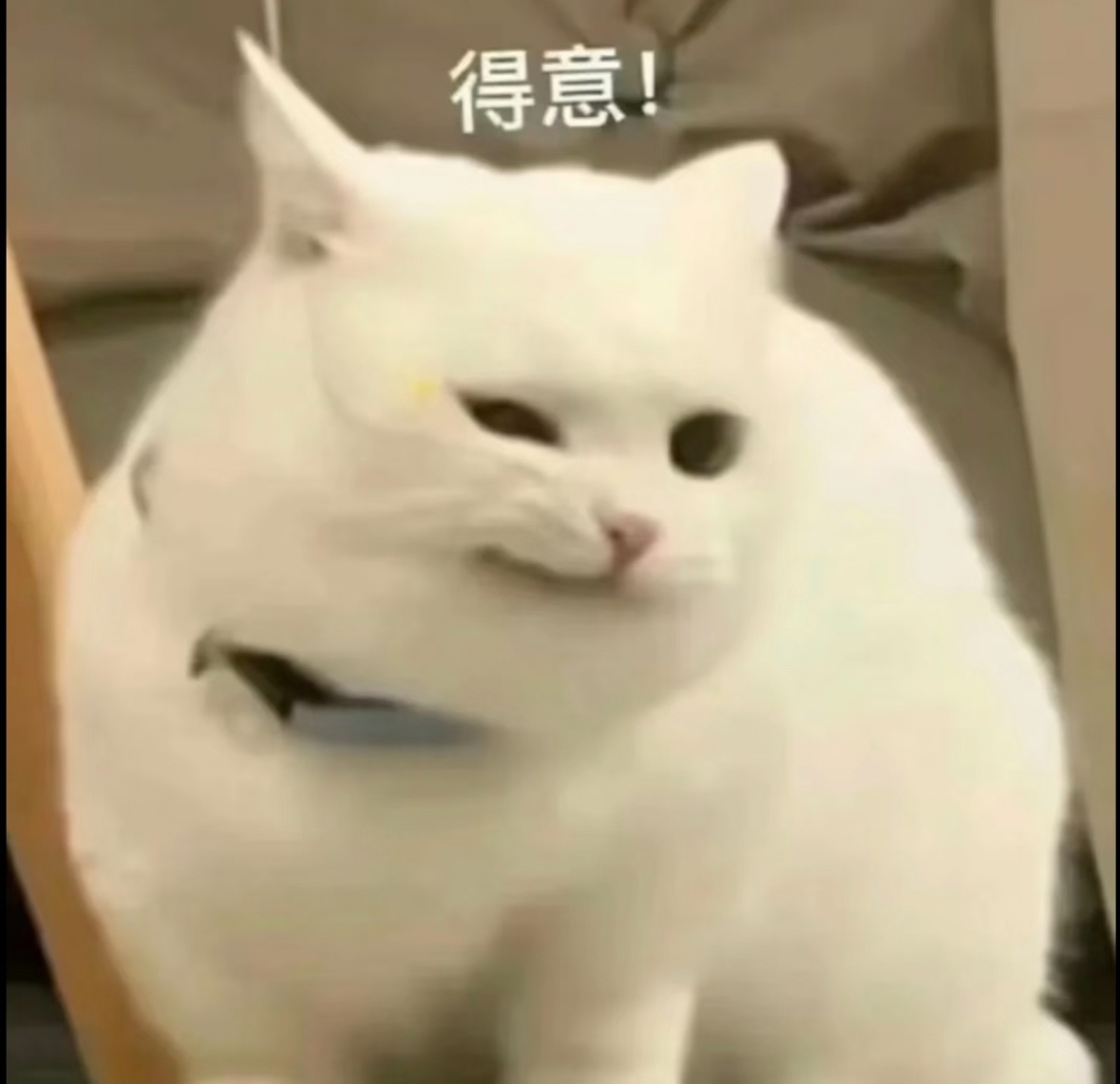 新民周刊星生男士创刊封面人物张继科 你怎么知道张继科拍杂志封面了还是创刊号，啊张