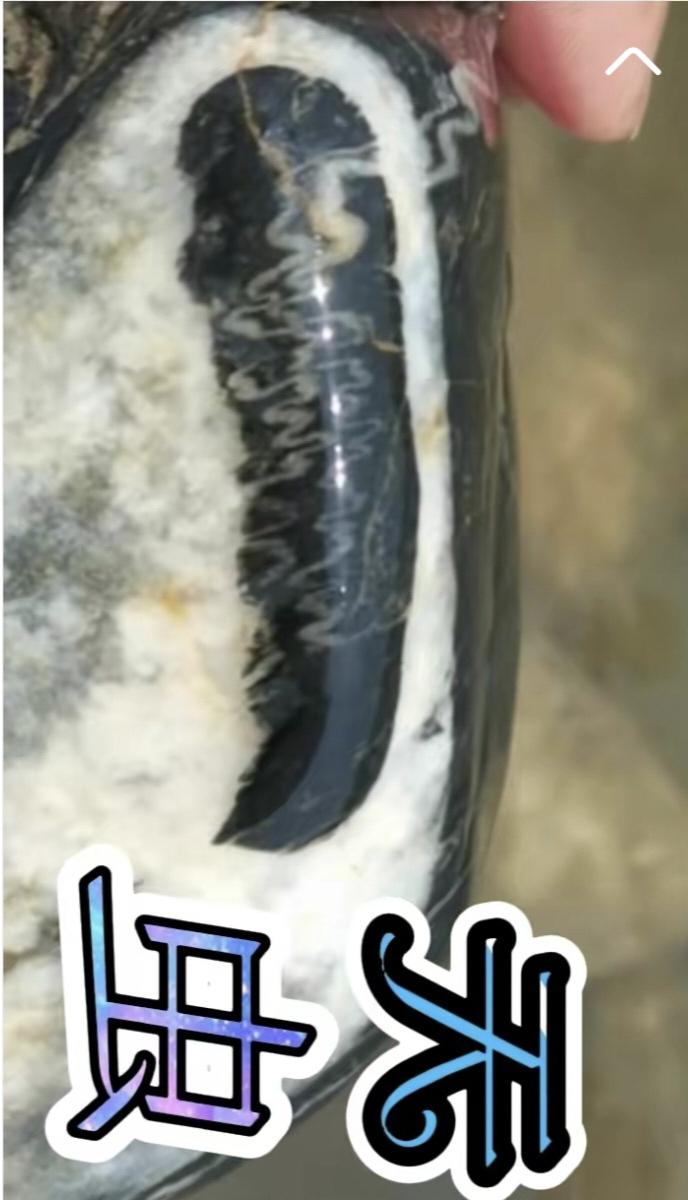 纯天然奇石画面石户外捡石 好东西一起分享 蚕