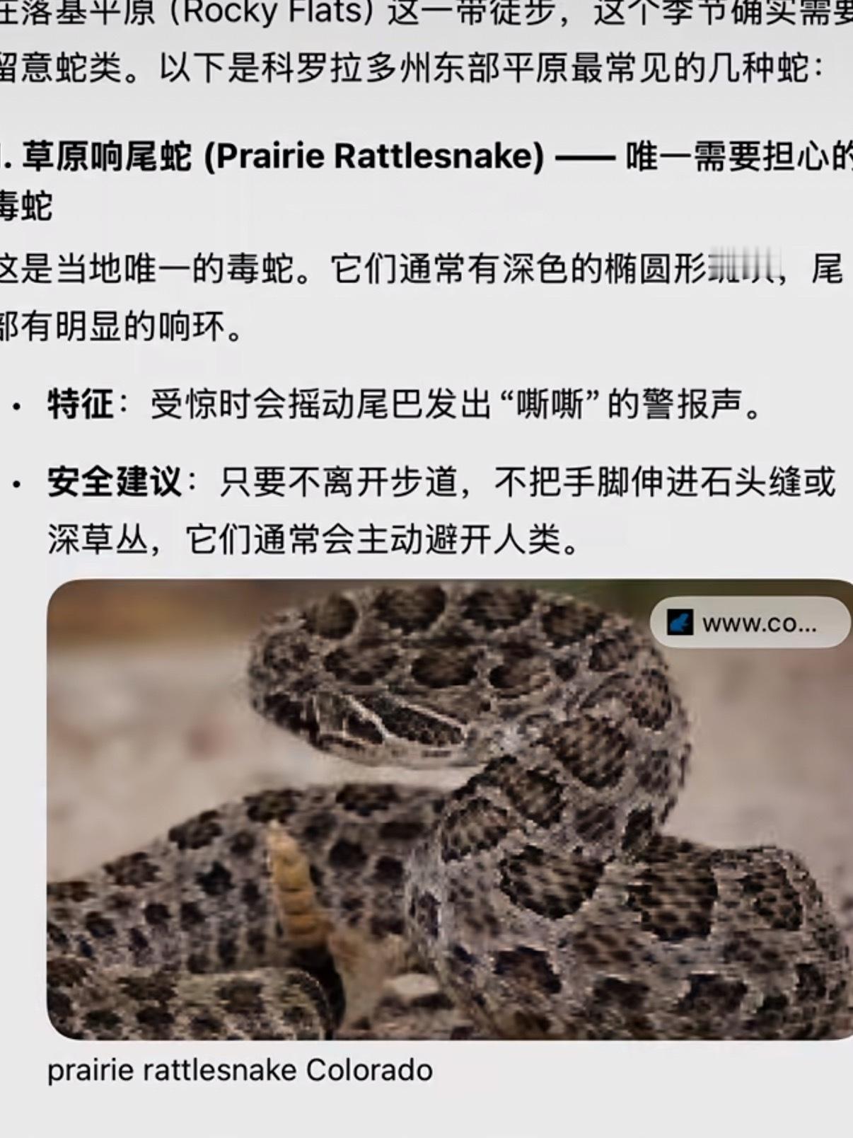 AI 的信息都是汇总的，不要完全信赖 AI。AI 存在一定程度的信息污染，也不会