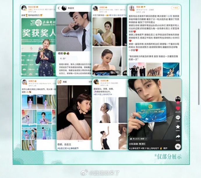 白玉兰收官战报，张凌赫单人独占一个板块 