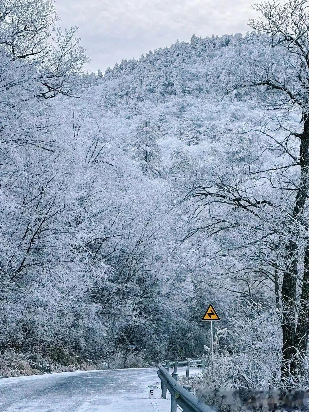 大雪纷飞花相似，零落人间终作泥