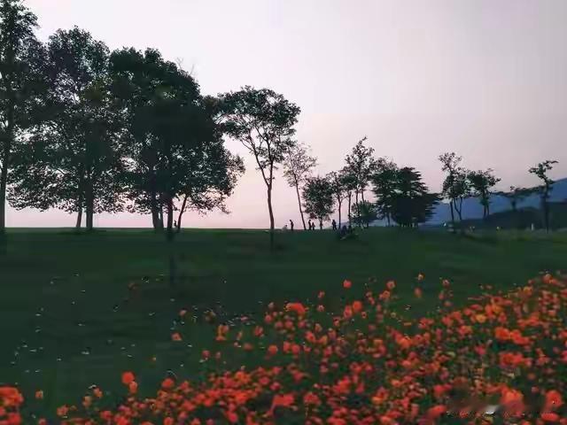 年纪越大越明白，圈子不用太大，真心三两好友就够。不纠结过往，不忧虑未来，认真过好