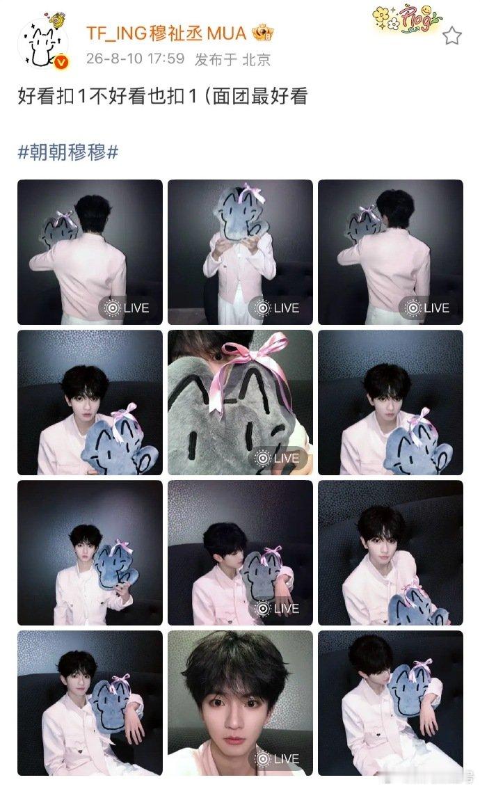穆祉丞给面团娃娃系粉色蝴蝶结穆祉丞也是猫奴来的穆祉丞对待小猫咪也太温柔，蝴蝶结这