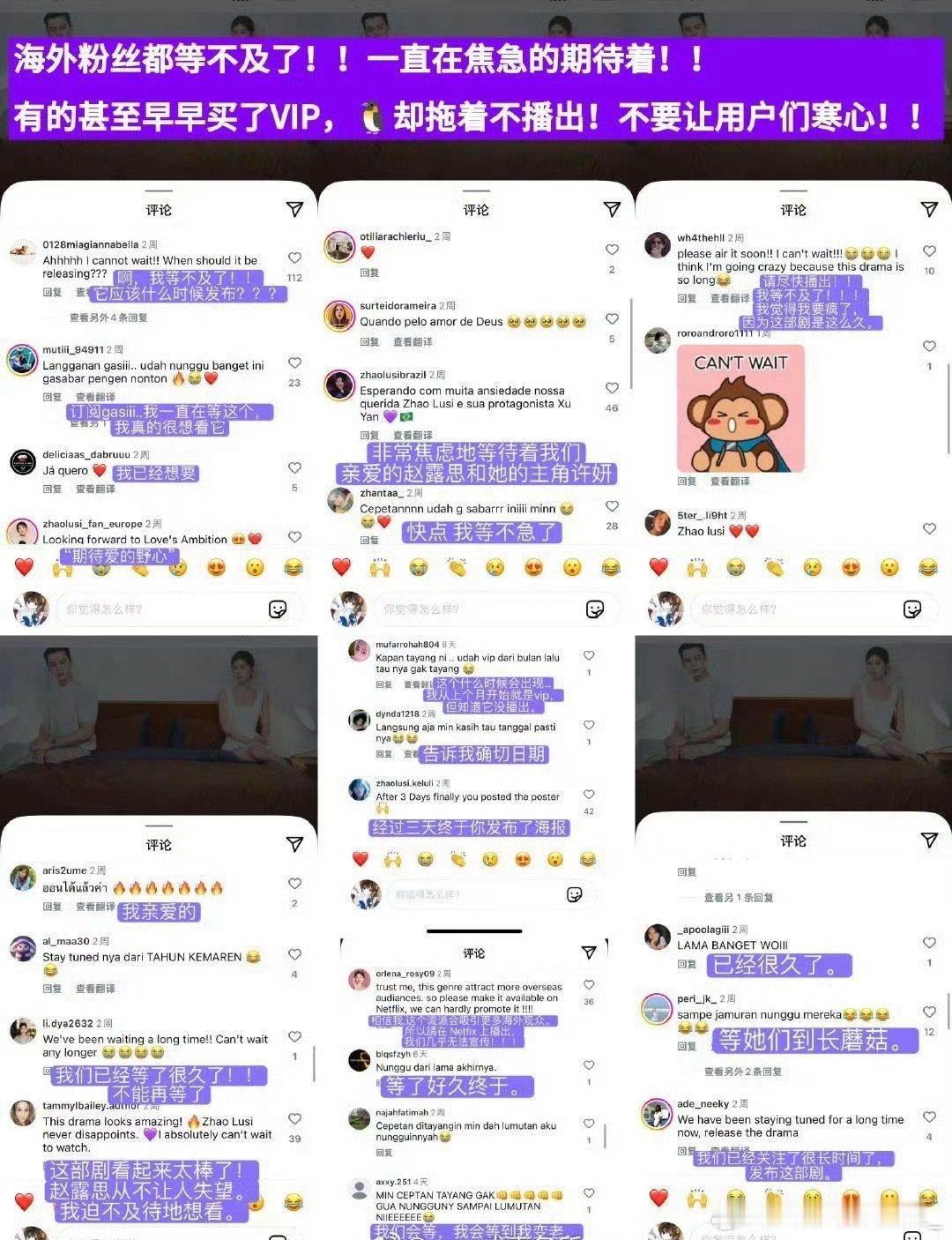 赵露思许我耀眼路透出圈，海外粉丝针对许我耀眼还不播出进行维权 ​​​