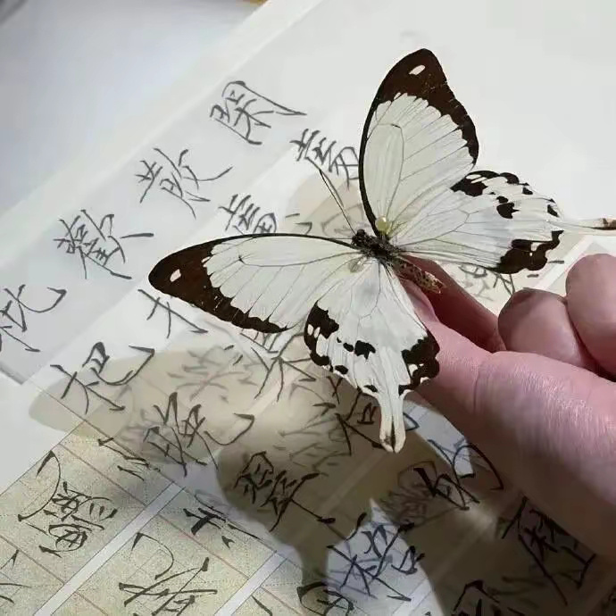 很忙，忙着生活，               到一定年纪，挣不到钱，      