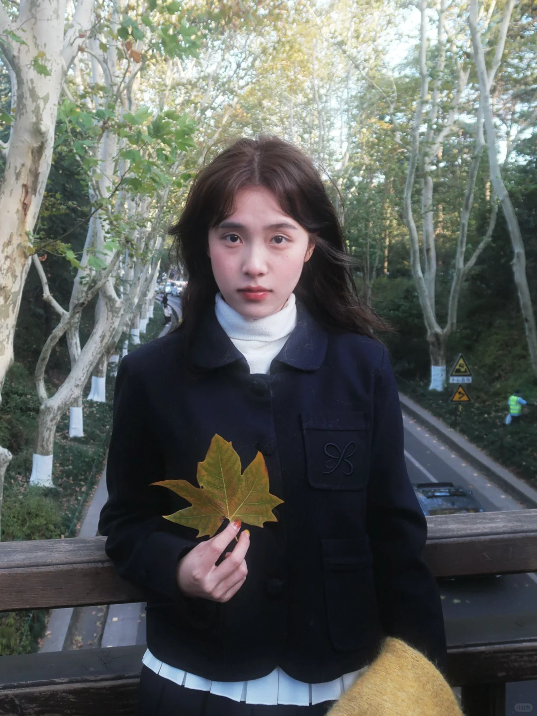 梧桐大道🍂