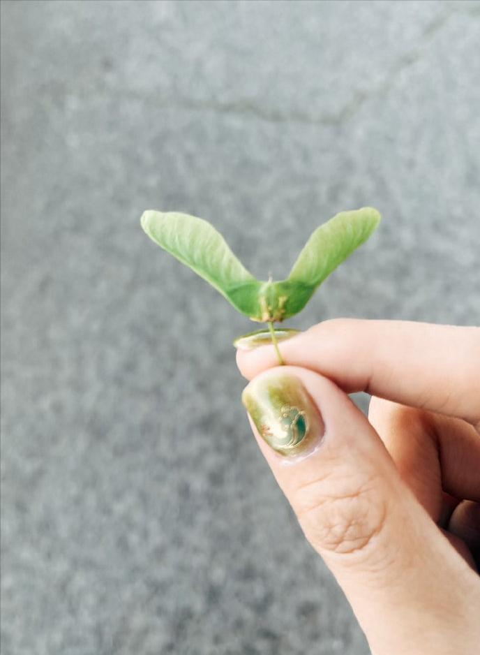 谷雨前后
种瓜点豆
谷雨是春天最后一个节气
今年所有的愿望和期许
谷雨是最后一次