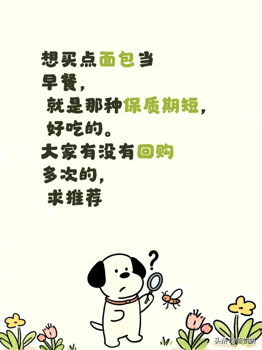 大家有推荐的吗？