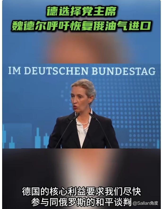 魏德尔：“我们应当像亚洲同行那样，在油气价格最低的地方采购化石能源，也就是从俄罗