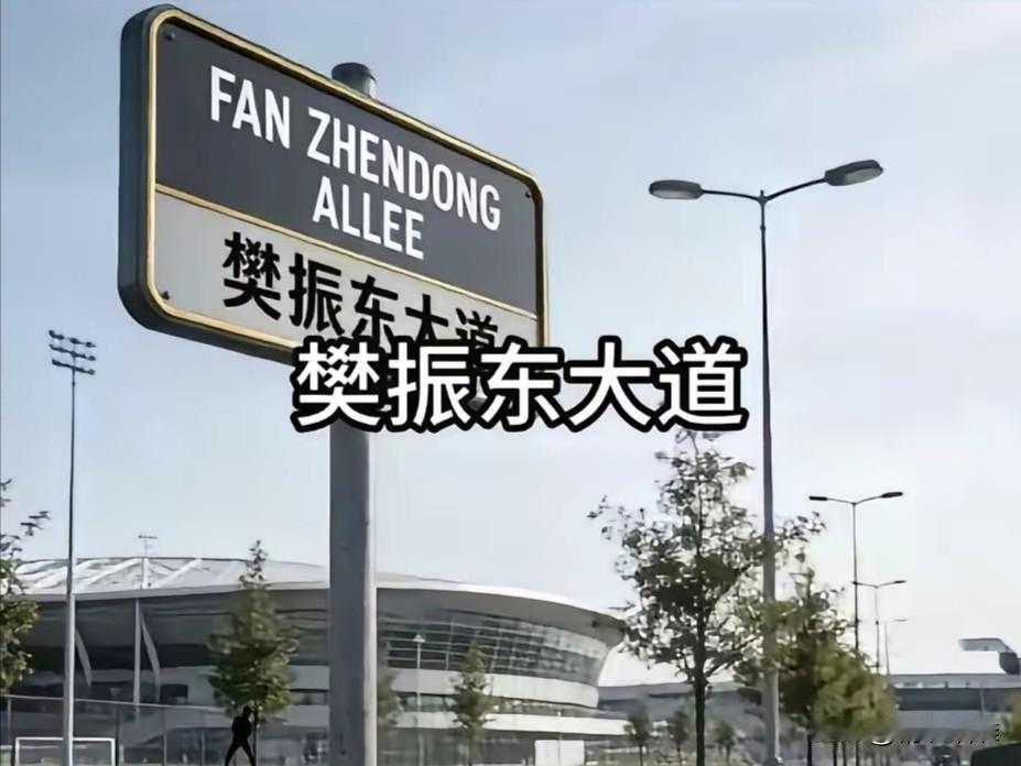 【德国人对待樊振东是真好，国内一些人却想搞臭他】难怪樊振东远走德国，哪怕是德国乒