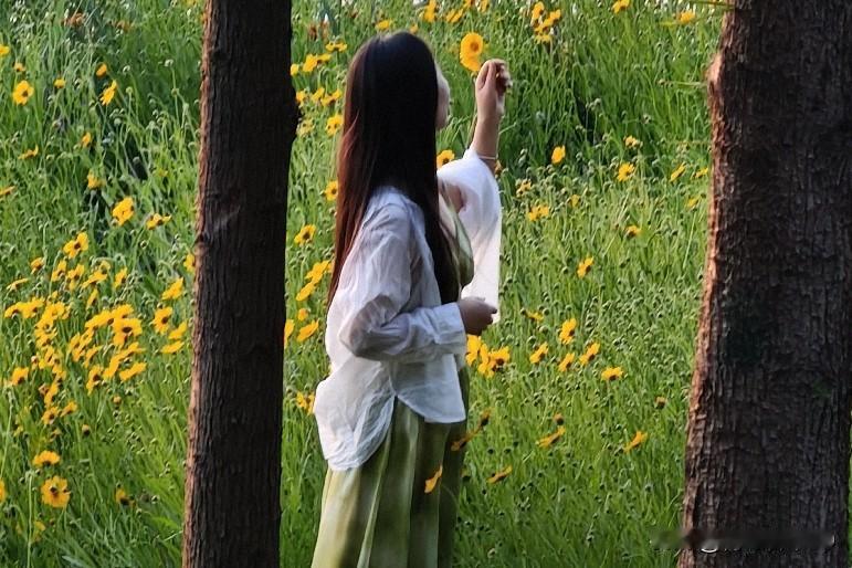 美女置身花丛中，那画面简直绝了！就像美女兜兜在山里花丛拍的唯美写真，清纯又好看。