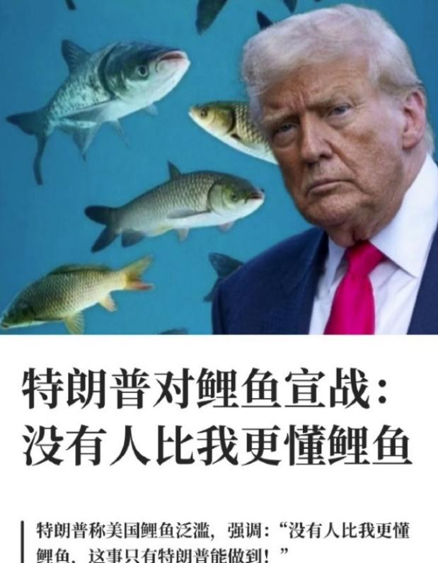 特朗普这人真是一刻都不消停。跟伊朗那边刚停火没两天，他又给自己找了一个全新的战场