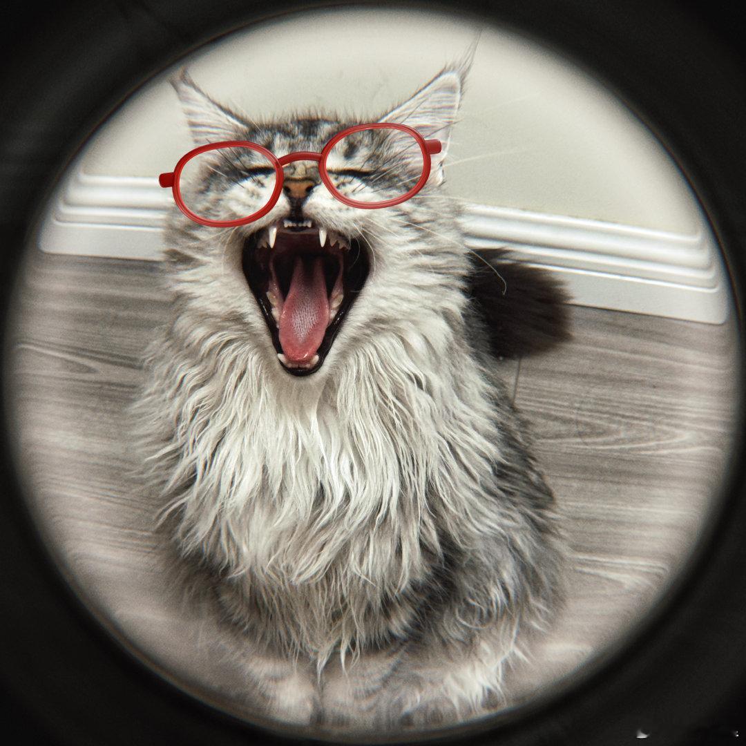 直观感受到了科技改变生活远程问诊不用再奔波挂号，智慧养老让牵挂触手可及，智能家居