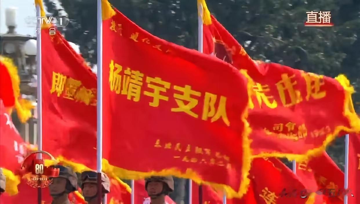 看到“杨靖宇支队”的旗帜后，让人潸然泪下！
这几天正在追央八播放的电视连续剧《归