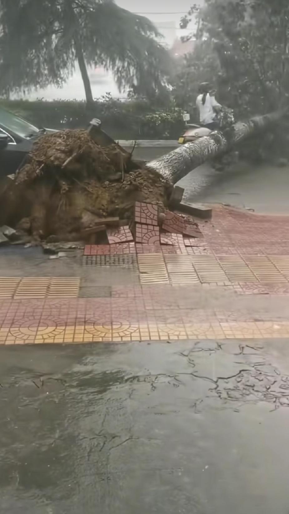一名女子正冒雨骑着电动车前行时，突然听到有人的惊呼声，接下来的一幕，更是让路人看