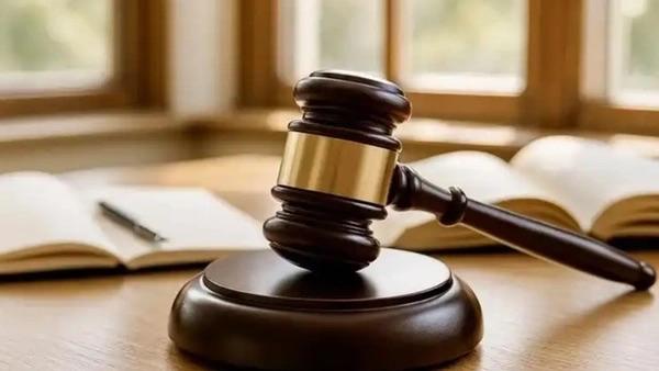 老人和子女关于孙辈的抚养费之争。
          2018年女儿出生后，小蔡